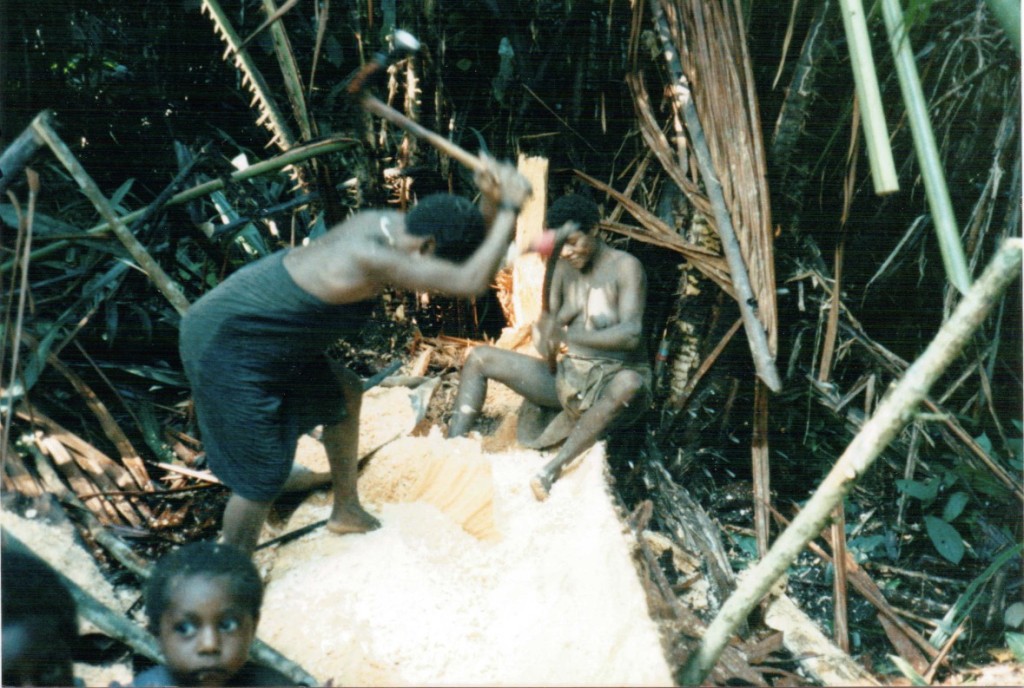 EM TASOL (thats is as they say in PNG!)