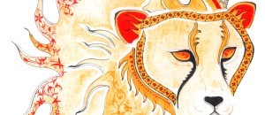 Cheetah